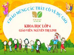Bài giảng Khoa học 4 (Kết nối tri thức) - Bài