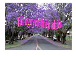 Bài giảng Khoa học 5 - Bài 63: Tài nguyên thi