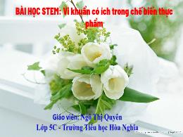 Bài giảng Khoa học 5 - Bài học STEM 5, Bài 10