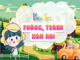 Bài giảng Khoa học 5 (Kết nối tri thức) - Bài