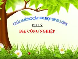 Bài giảng Lịch sử và Địa lí 5 (Phân môn: Địa