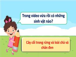 Bài giảng môn Khoa học 5 (Kết nối tri thức) -