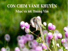 Bài giảng môn Tiếng Việt 5 (Luyện từ và câu) 