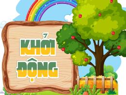 Bài giảng Tiếng Việt 5 (Tập làm văn) Kết nối 