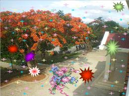 Bài giảng Toán 5 - Bài: Diện tích xung quanh 