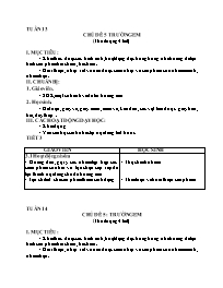 Giáo án Mĩ thuật 5 - Tuần 13-16