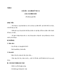 Giáo án Mĩ thuật 5 - Tuần 4-6